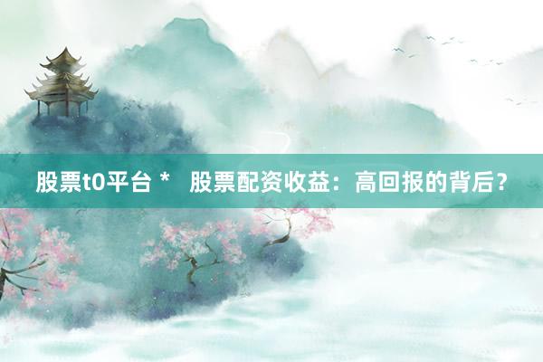 股票t0平台 *   股票配资收益：高回报的背后？