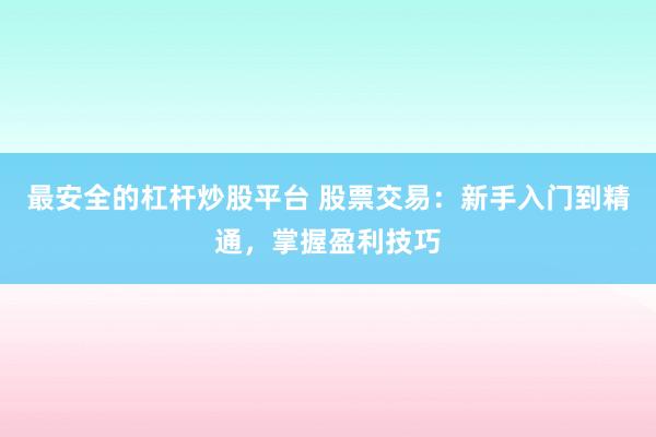 最安全的杠杆炒股平台 股票交易：新手入门到精通，掌握盈利技巧
