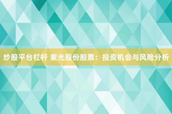 炒股平台杠杆 紫光股份股票：投资机会与风险分析