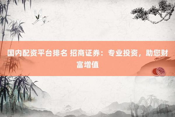 国内配资平台排名 招商证券：专业投资，助您财富增值