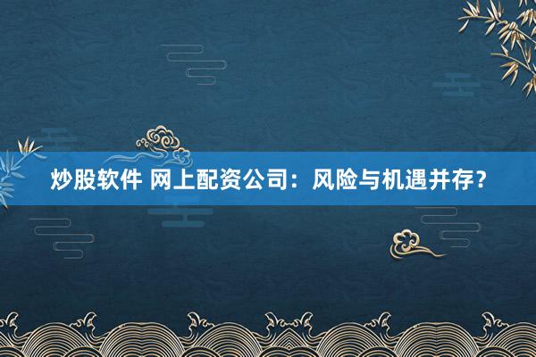 炒股软件 网上配资公司：风险与机遇并存？