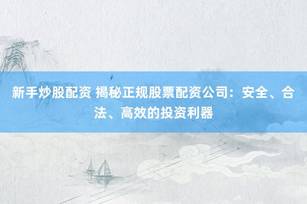 新手炒股配资 揭秘正规股票配资公司：安全、合法、高效的投资利器