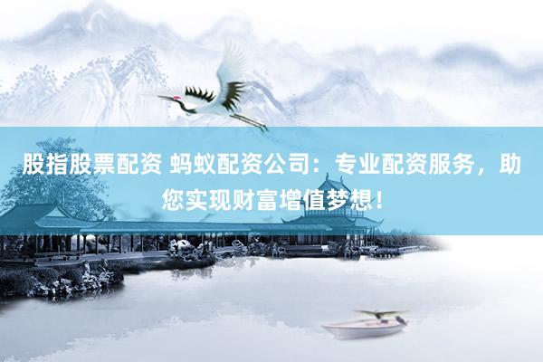 股指股票配资 蚂蚁配资公司：专业配资服务，助您实现财富增值梦想！
