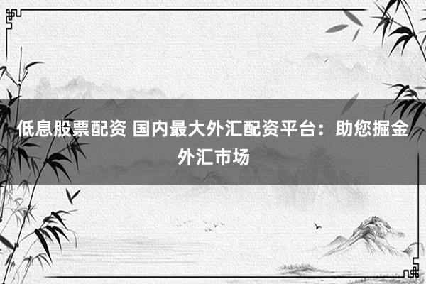 低息股票配资 国内最大外汇配资平台：助您掘金外汇市场