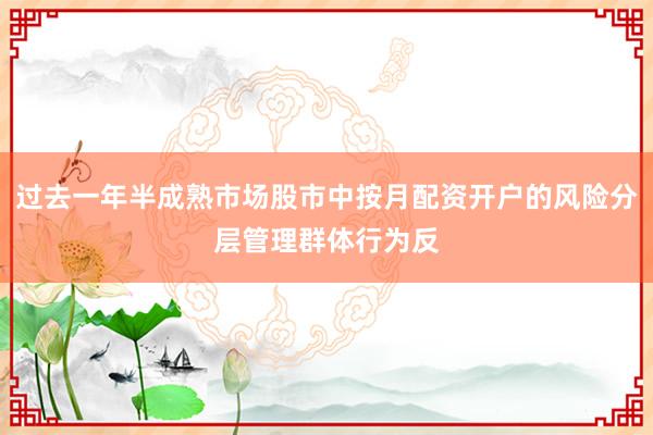 过去一年半成熟市场股市中按月配资开户的风险分层管理群体行为反